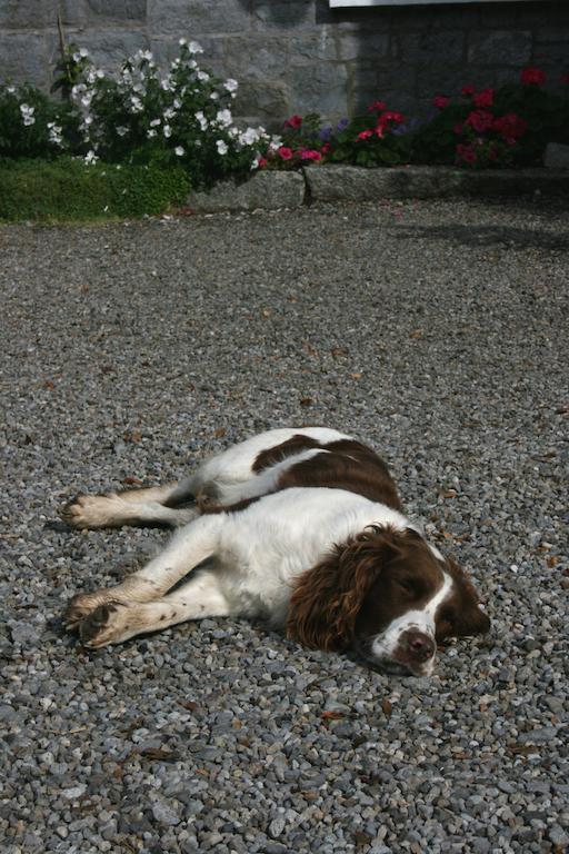 Farm stay Moate